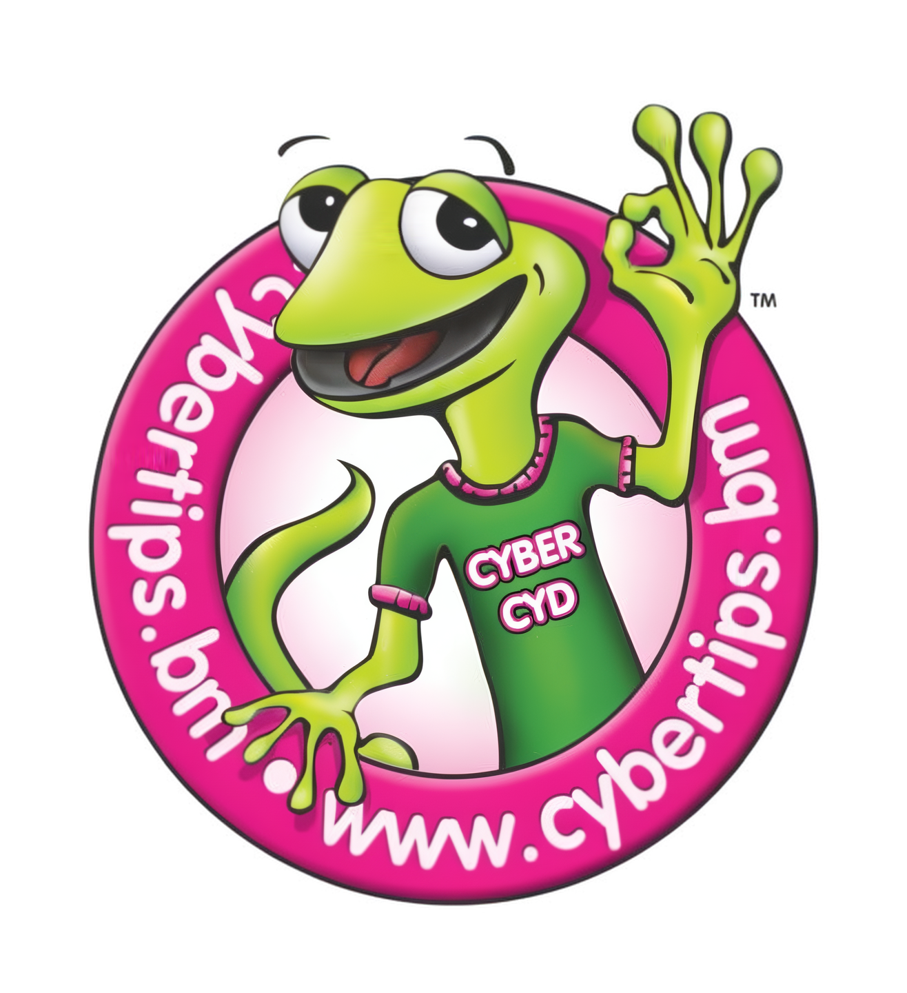 Cyber CYD